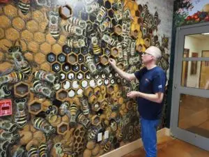 Ned Smith Interactive Beehive Exhibit Studios P6280054