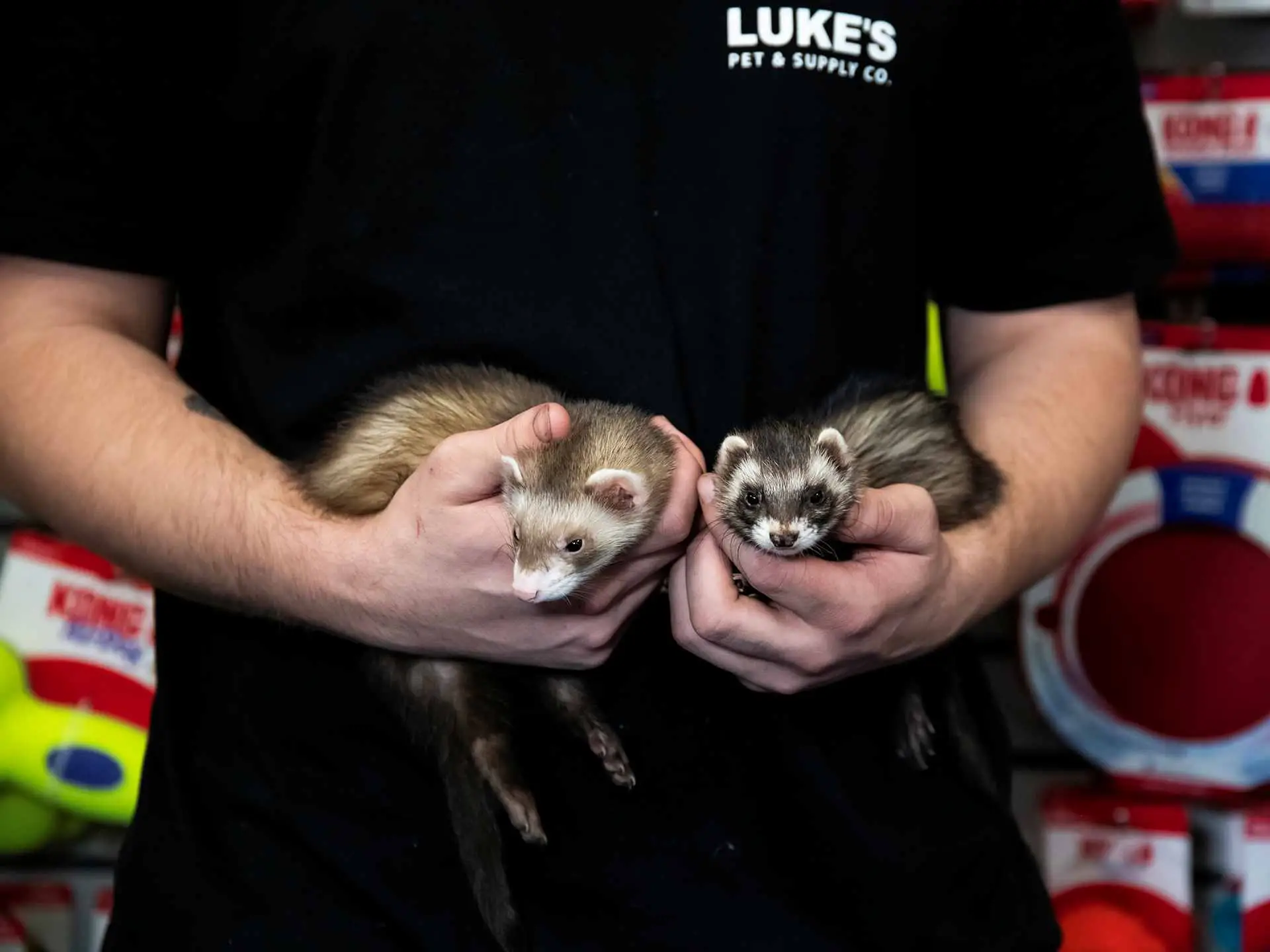 2026 Photography Trends Blog