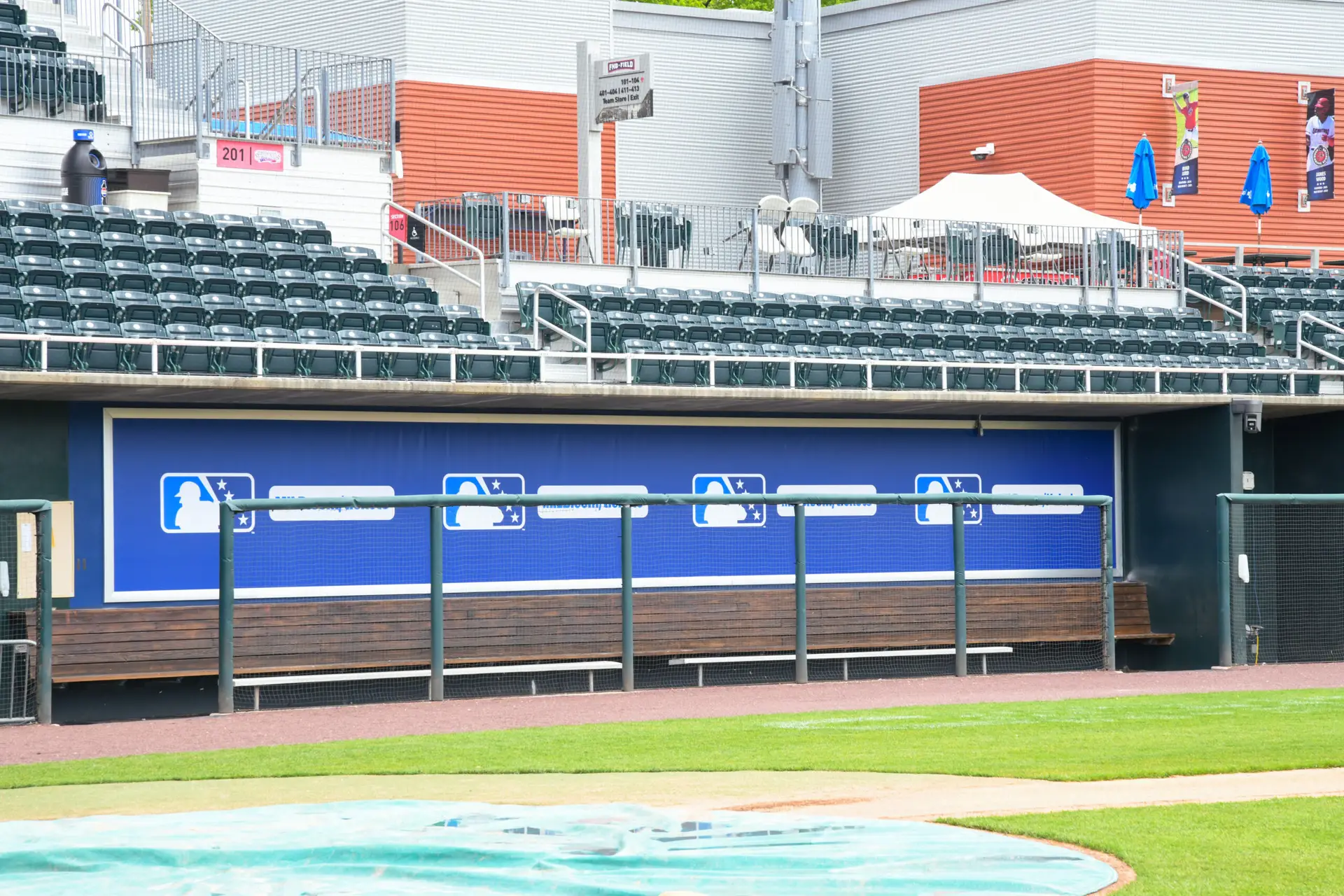 dugout for Harrisburg Senators